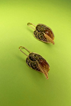 Anthurium Dangle Earrings