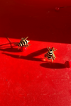 Bee Enamel Cufflinks