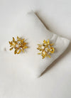 Online-Pricing-New-Wildflower-Studs-Uk,France