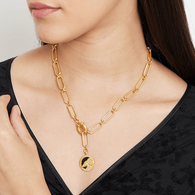 The Jewel Jar Zariin Necklaces Aries Link Chain Necklace